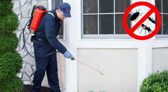 Uğurludağ Hamam Böceği İlaçlama böcek ilaçlama ve haşere kontrolü — ilaclama-tr.com